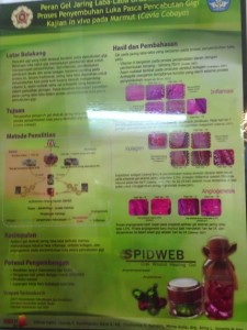 Speedweb (Gel Jaring Laba-laba)